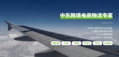 中東跨境電商中東貨運(yùn)物流要具備