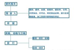 外貿(mào)新手必知的報關流程