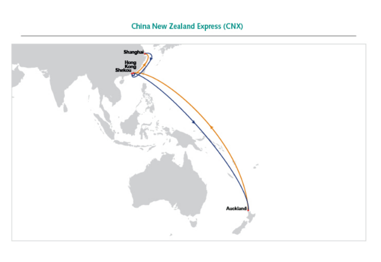 航線快訊！11月中旬，東方海外將新增一條新西蘭直航服務(wù)CNX